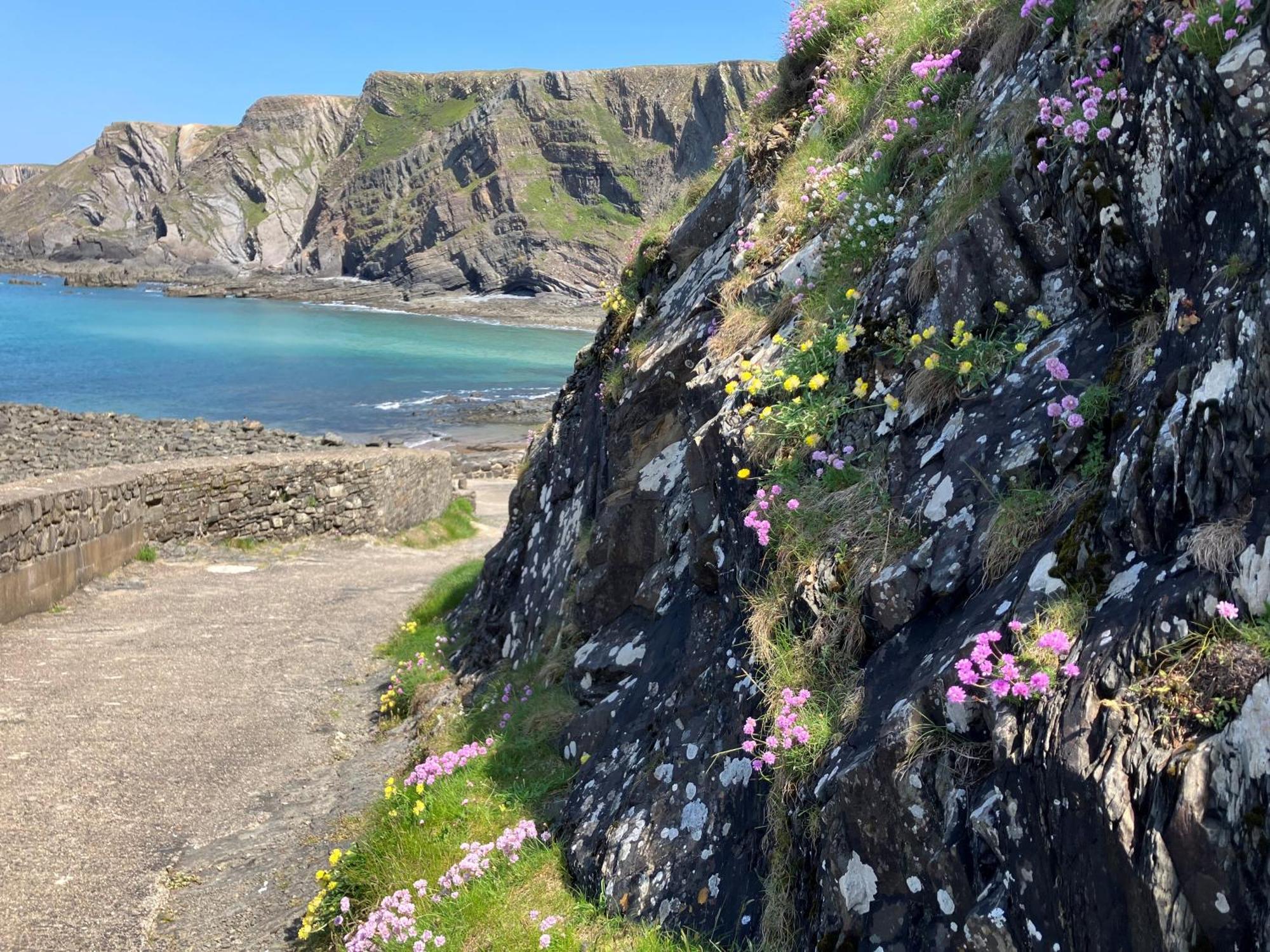 Hartland Quay Hotel Exterior foto