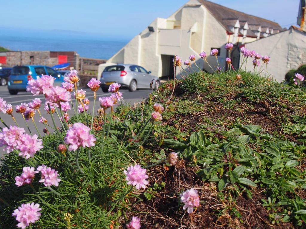 Hartland Quay Hotel Quarto foto